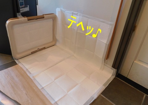 DSCN9703