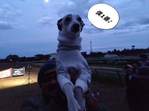 6872c937-5ab1-4d5b-8178-63db0ddb5fa4