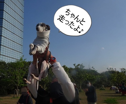 177314317_754342395275601_7503146511536087489_n