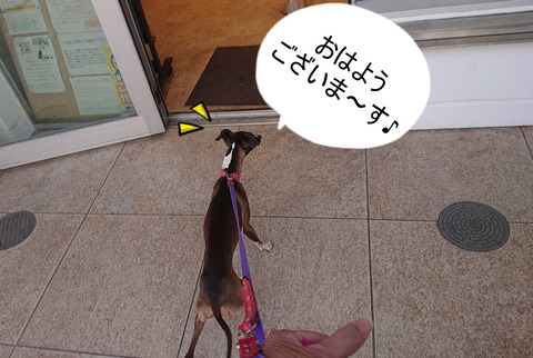 278858094_751131162926200_644641488325026129_n