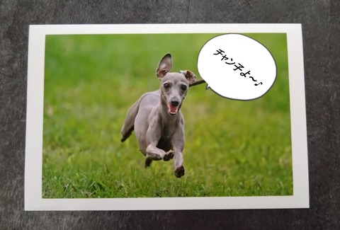 3f9299a6-2578-4f22-a2c6-31382df32a6a