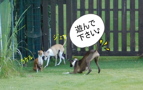 224718771_1208491189613261_1785563528725871003_n