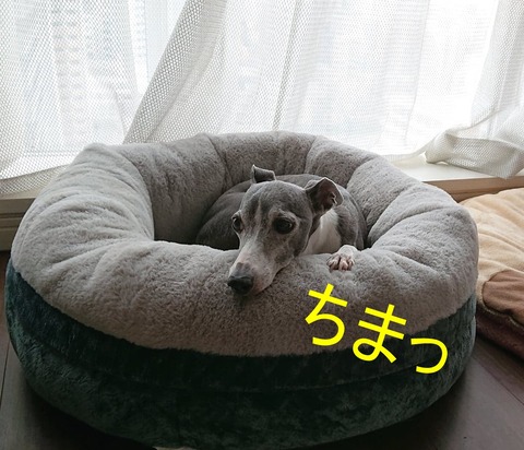 307993411_767635014539812_6172036094242978156_n