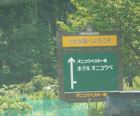 DSCN6620