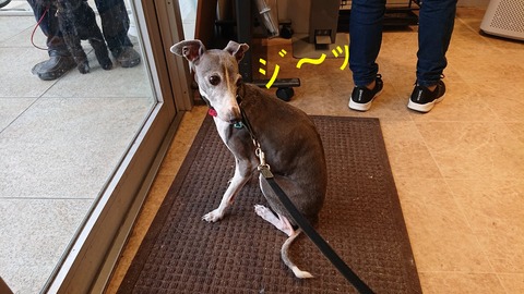 277990816_659686718622640_1590621503767960134_n - コピー