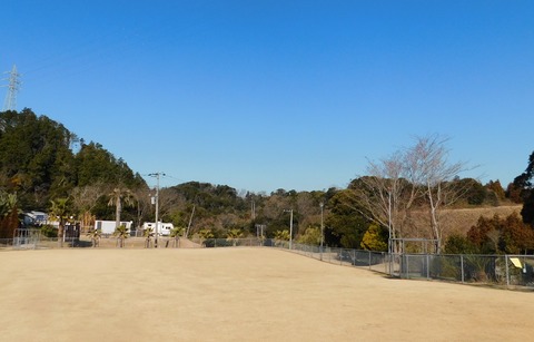 DSCN8683