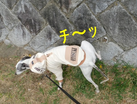 DSCN9091