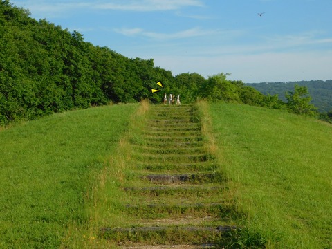 DSCN9619