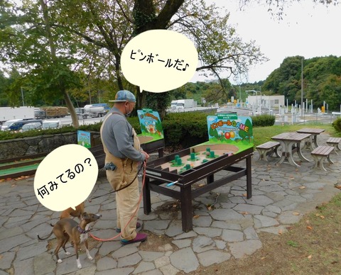 313978554_798402011239001_2475719087581562499_n
