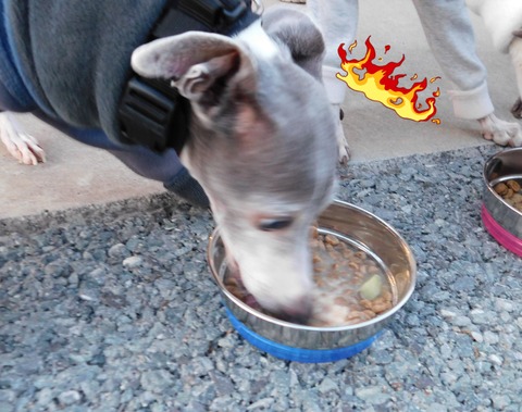 DSCN9246