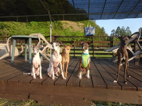 176752043_312957186839849_6725346640668675297_n