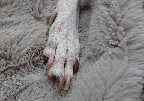 355484804_754283939773050_7516042871653442975_n