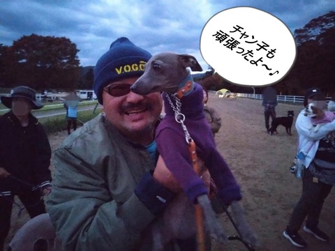 902adc0a-bc47-47af-be4a-36da13c59c25