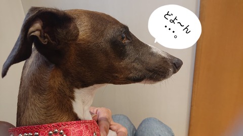 278482895_717438876075588_944765979807480041_n