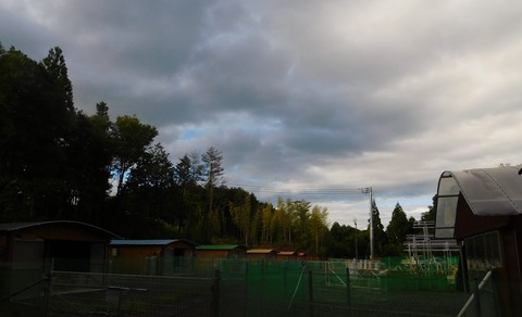 DSCN6211