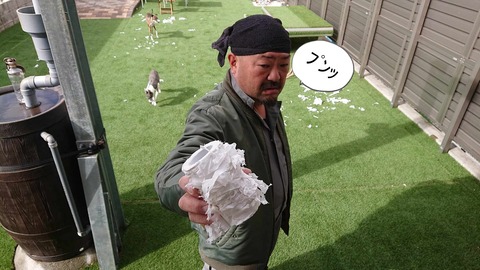 423105661_400906152428893_5315515288045031208_n