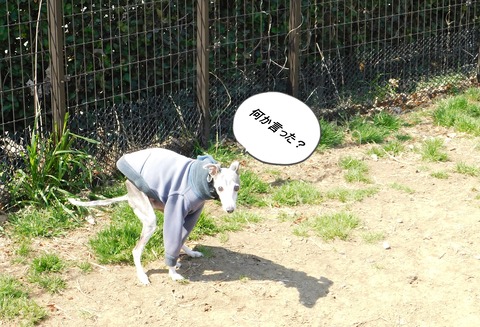 DSCN9217