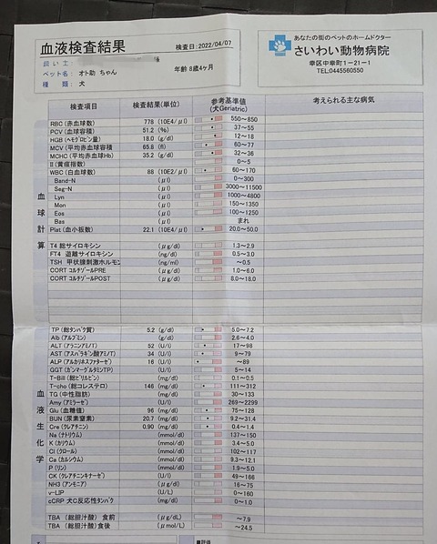 278048835_525105675909296_7494766971826101847_n