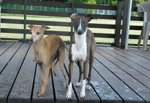 223425874_2992357431014522_541103006161032545_n