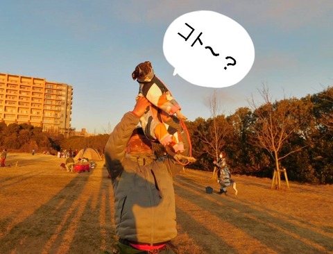 273501071_693404562098933_4698254274187185488_n