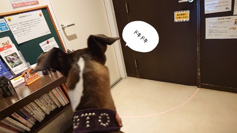 18068 - コピー