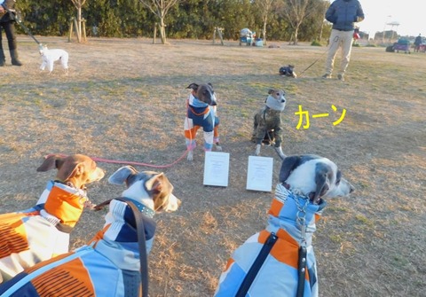 273762140_985058088788076_1989085570734719691_n