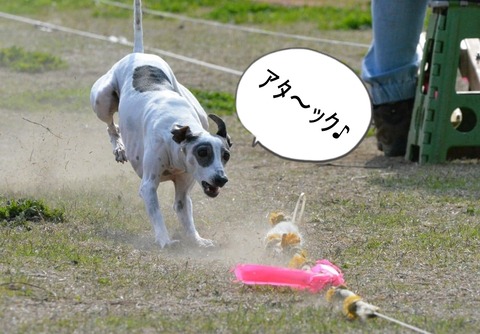 174844223_807221933557513_7307427838789086728_n