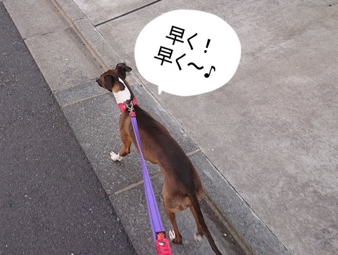 278654189_1253378518402699_7604623434739766843_n