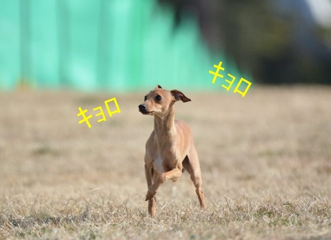 239160492_656439452001108_6904107967314888660_n