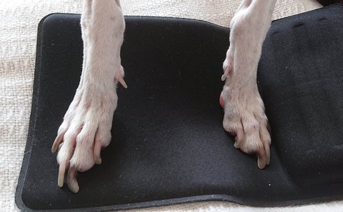 355568666_2461409580701856_462198040954438785_n