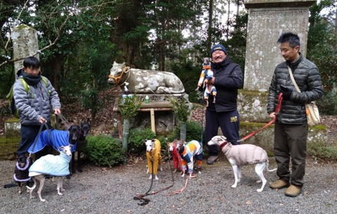 21905084-02c5-40fb-8381-2d4291ee4167