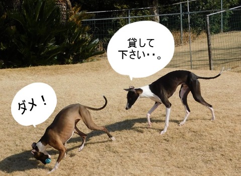 273962865_498818528533328_8822155753252851537_n