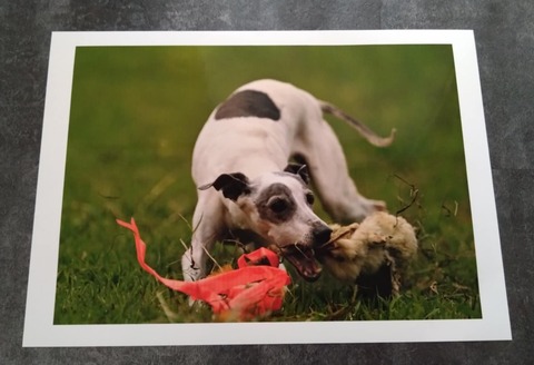 66156963-6b97-47fb-9cdd-6985a64c9f3f