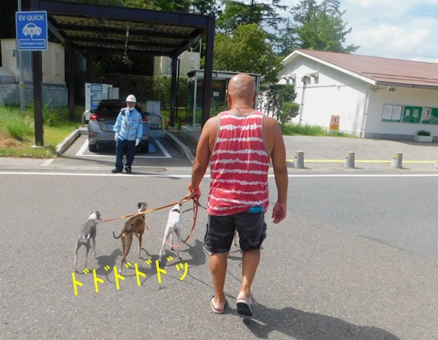 DSCN0263
