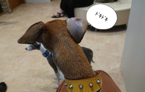 355851793_1255826008395109_5274670494859415350_n