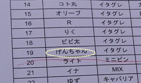 043e8bc9-0b2d-4d1b-b346-5a0be1acb3c4