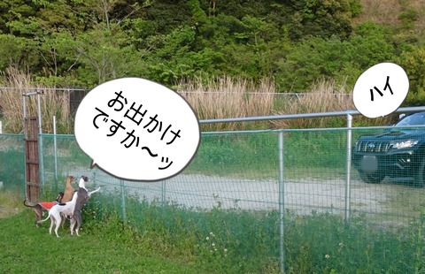 174606214_498990114605142_8752885627705555453_n