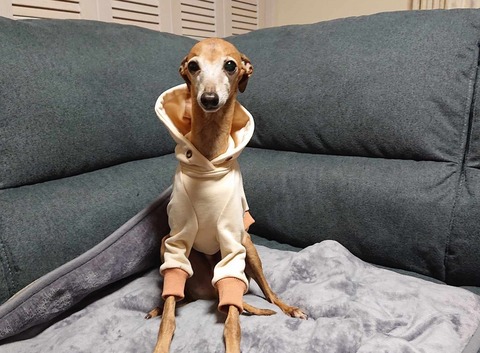 9557e353-231c-4e4a-a271-8a8a43fba237