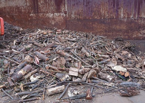 429110699_1032635994503685_7969682672954419634_n