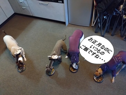 ef382525-94eb-4e49-8408-91d779a9351b