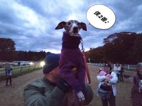 e5e388d3-7848-4066-8596-946af0f6756d