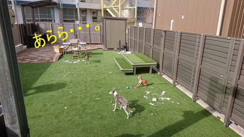 426829738_951270433098276_300553330472658855_n