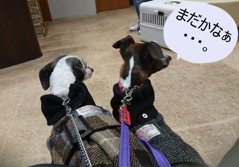 272960961_483121436702402_3821476298484199_n