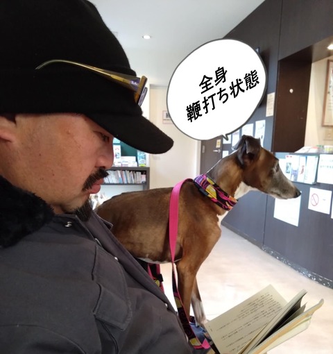 e5439a4c-4c4e-4691-8851-df32a1c4d7ad