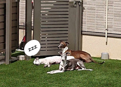 f4c3298e-5bf8-4dac-b451-9060f516d52e