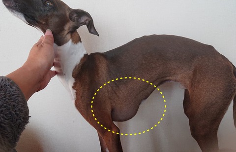 278962554_1124928098304656_219499092623614919_n