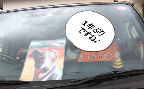 afe7e858-4f2c-4602-8d7e-1d415df167ba