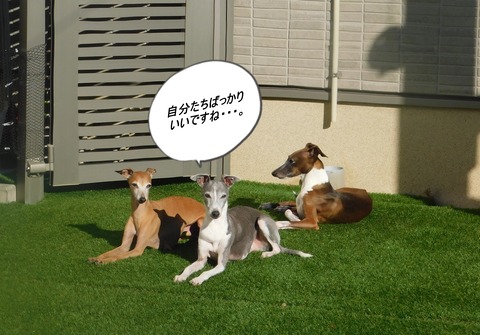 DSCN7879