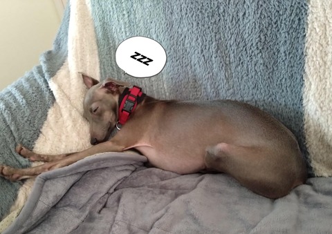 05ec97e4-d796-4848-8e1d-0bbd51cbf1fd