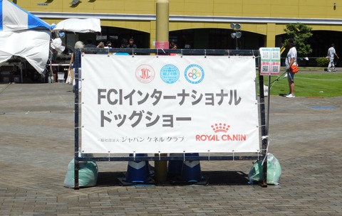 DSCN6228